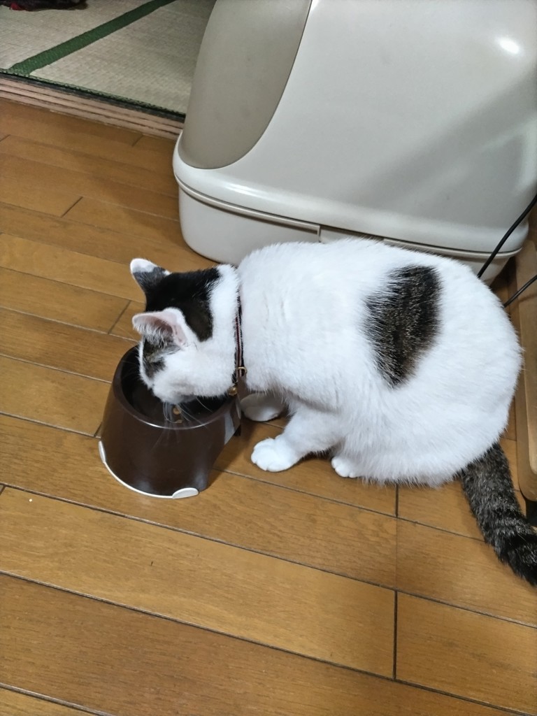 投稿写真