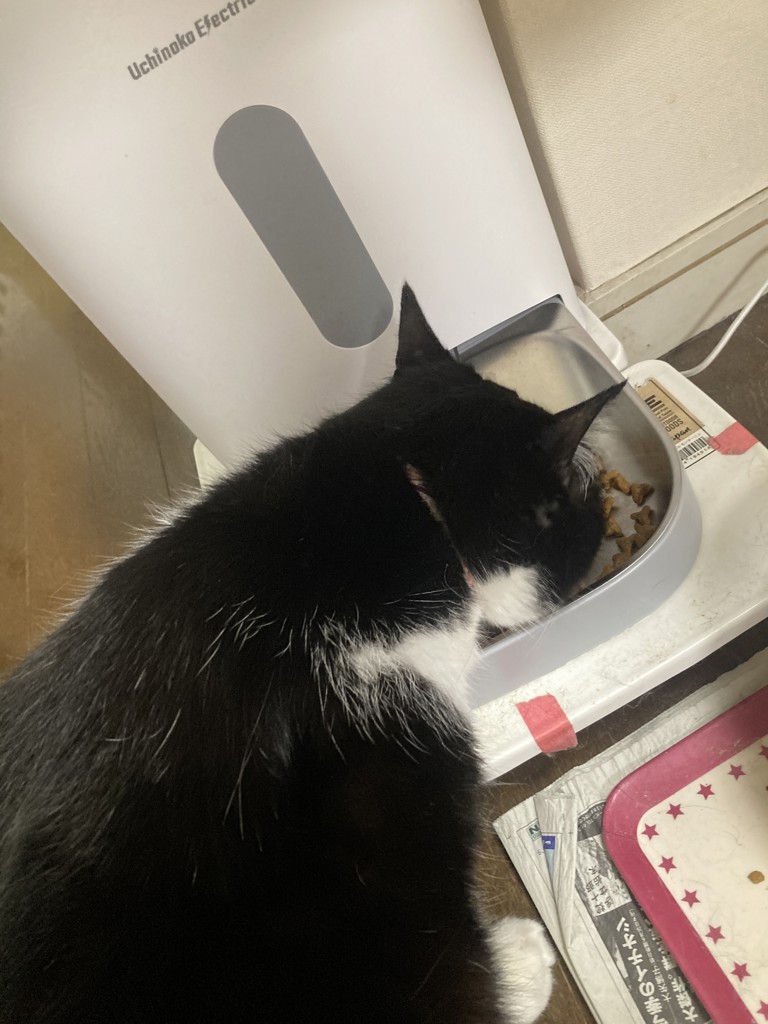 投稿写真