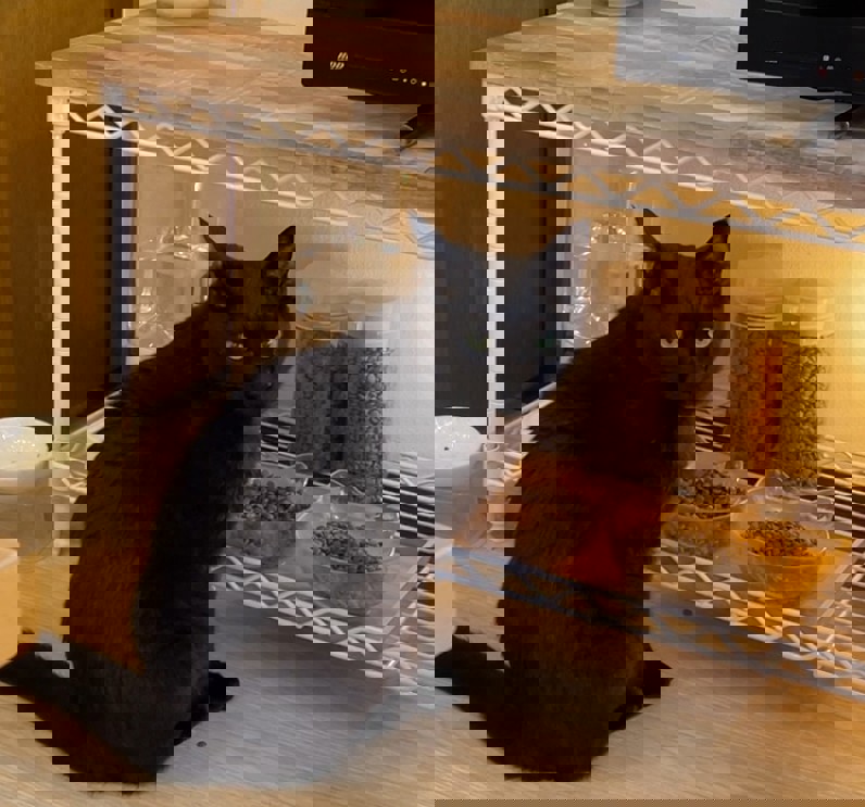 投稿写真
