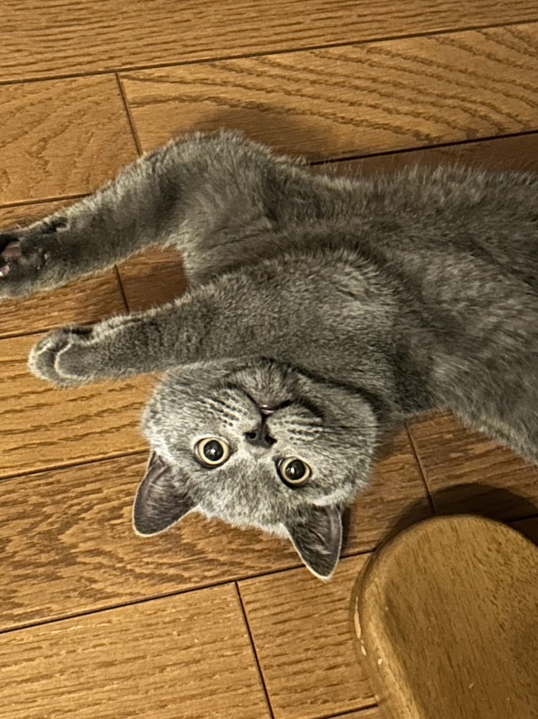 ユーザー写真