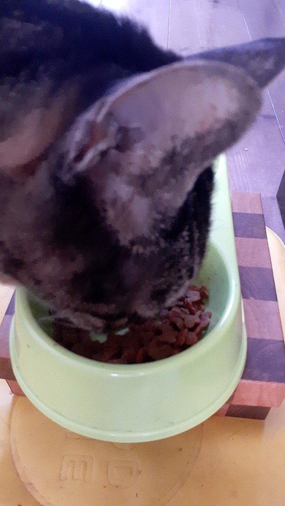 ユーザー写真