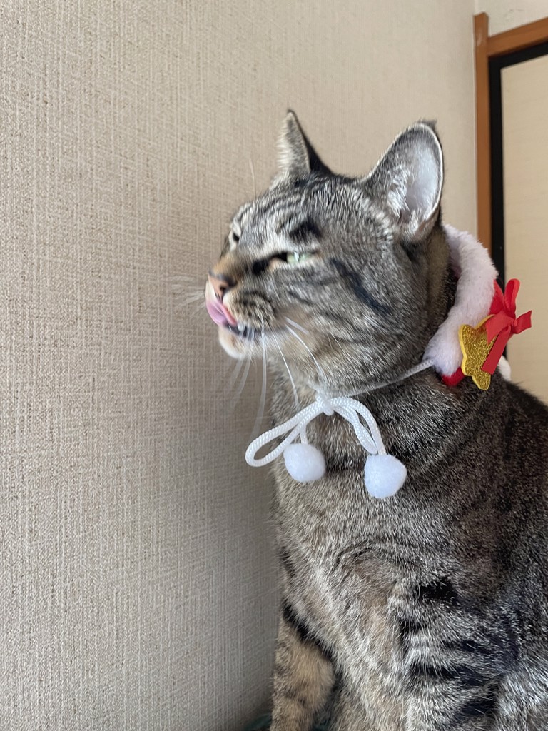 ユーザー写真