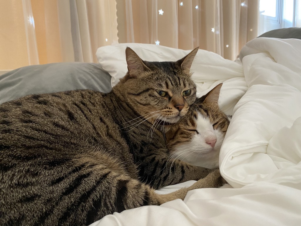 ユーザー写真