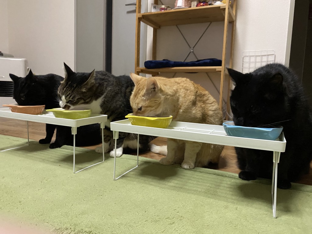 ユーザー写真