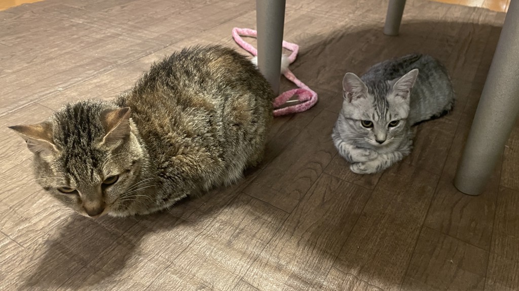 ユーザー写真