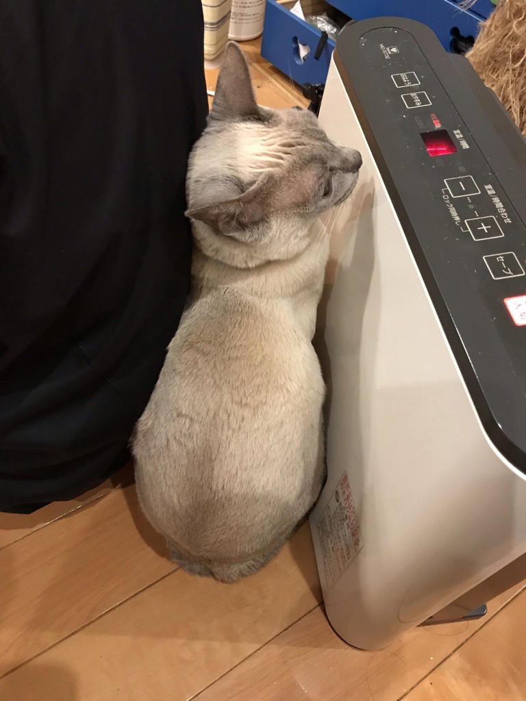 ユーザー写真