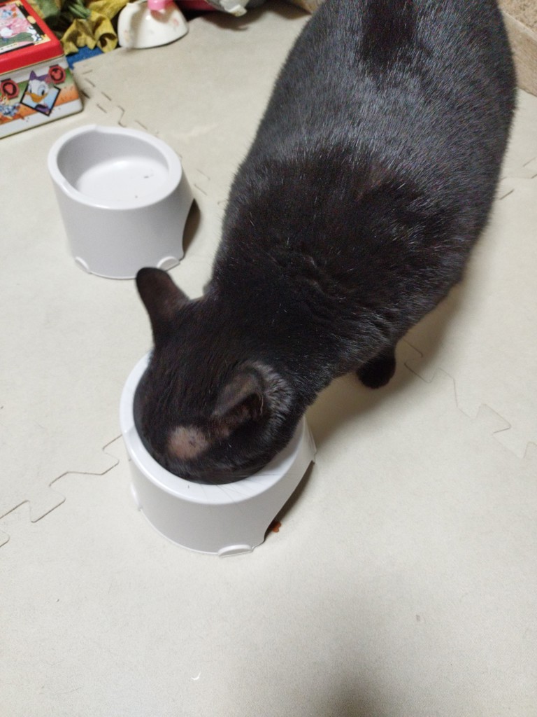 ユーザー写真