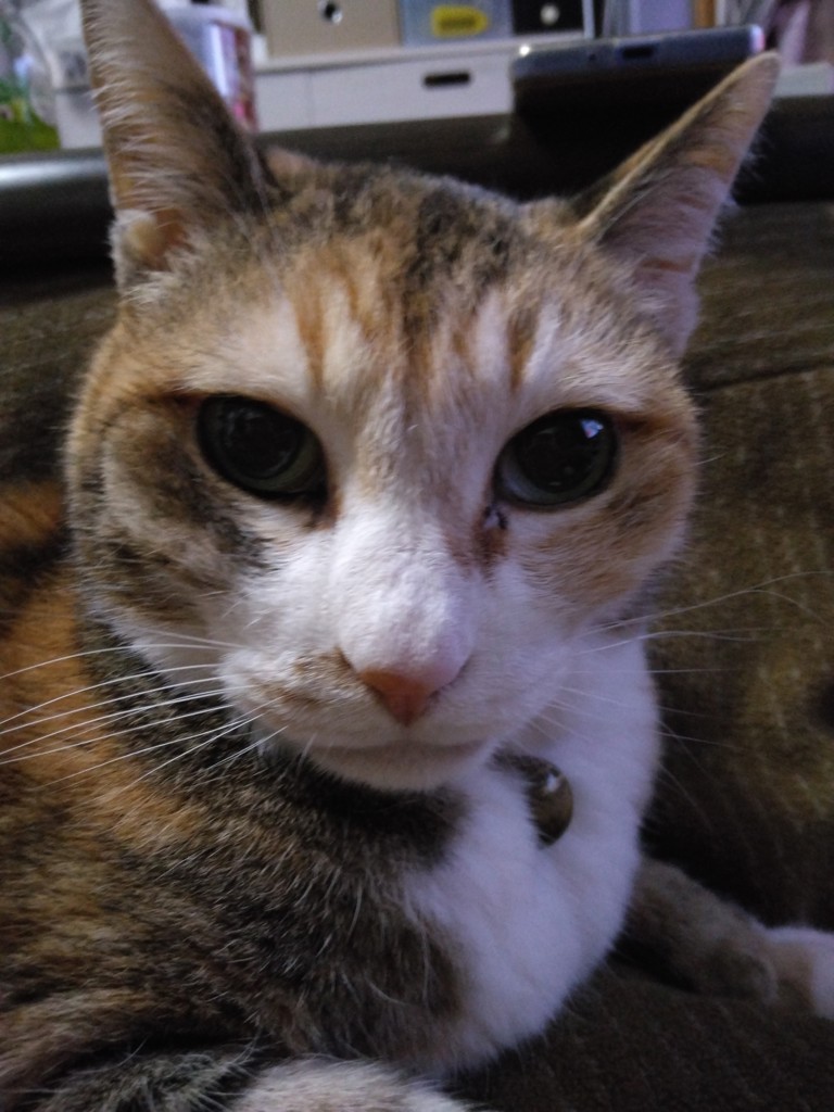 ユーザー写真