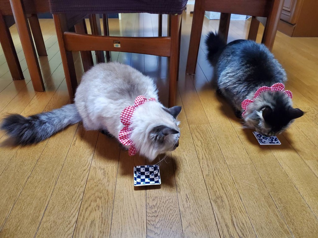 ユーザー写真