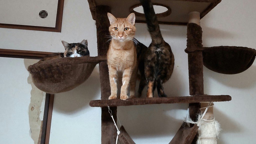 ユーザー写真