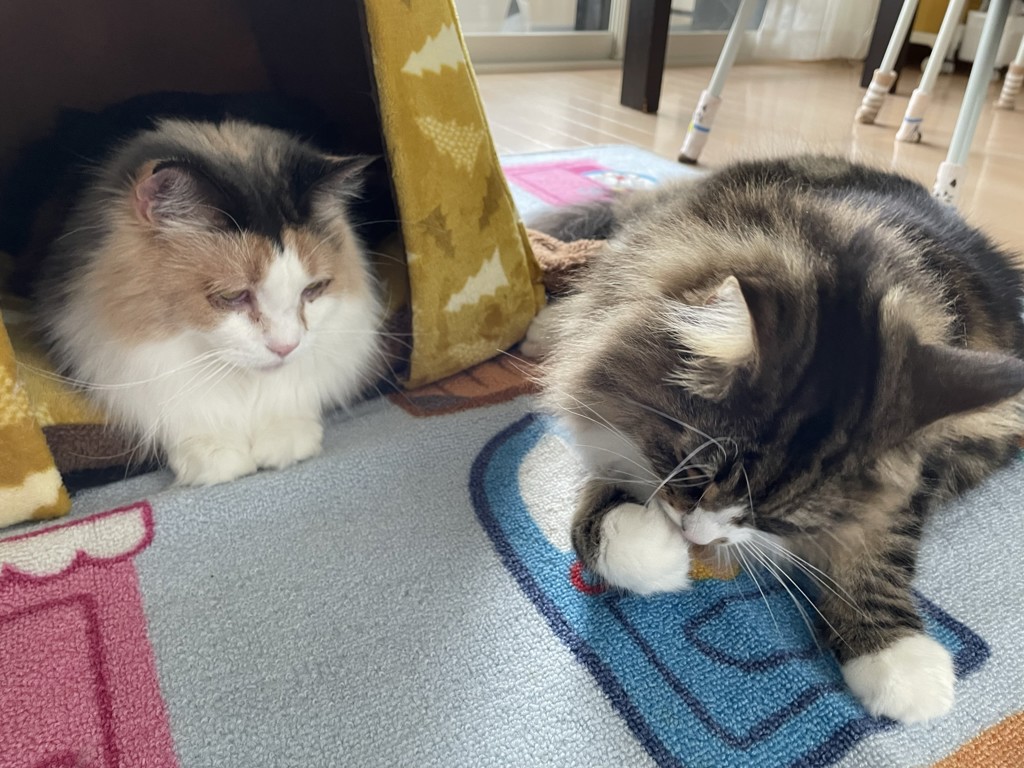 ユーザー写真