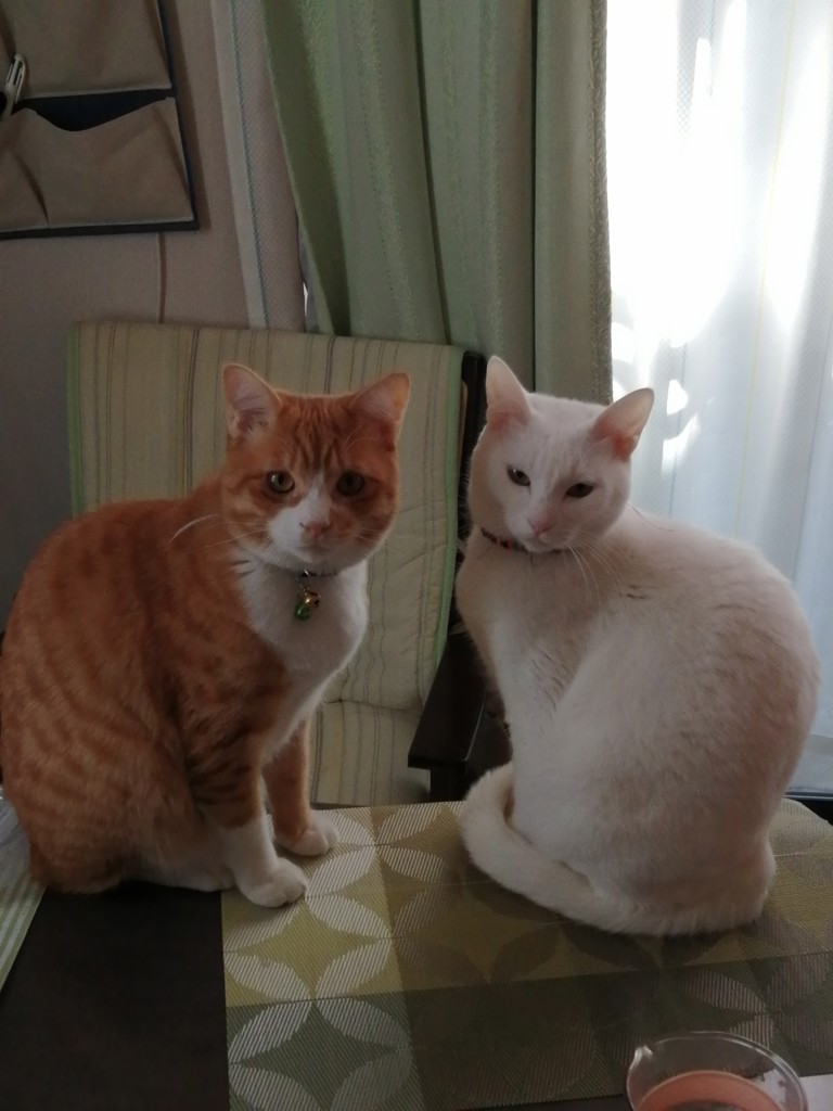 ユーザー写真