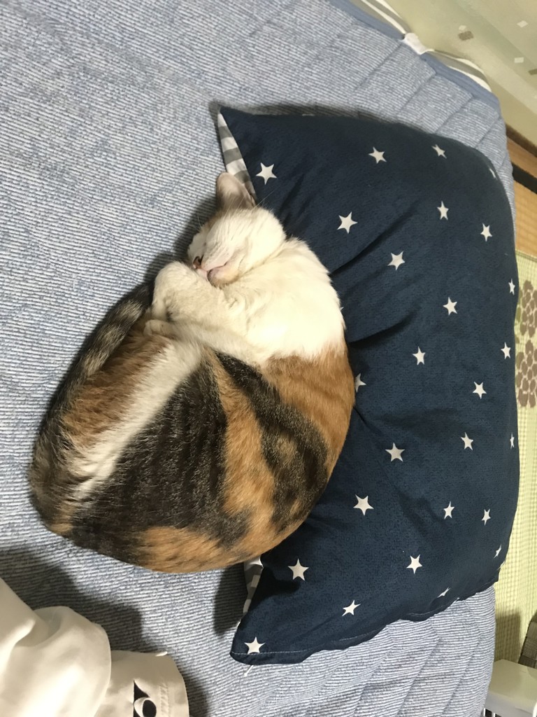 ユーザー写真
