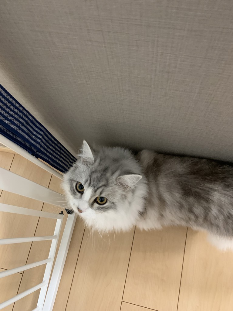 ユーザー写真