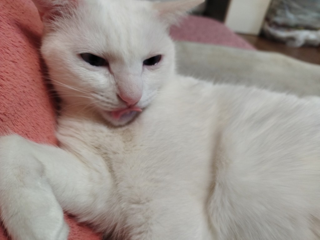 ユーザー写真