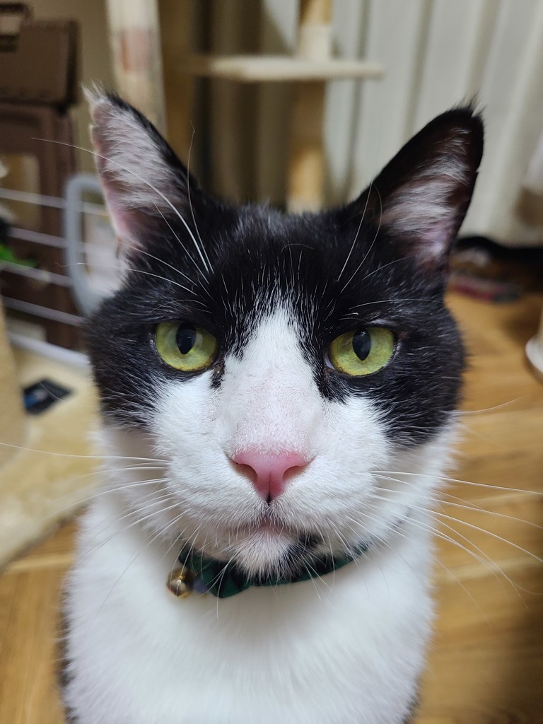 ユーザー写真