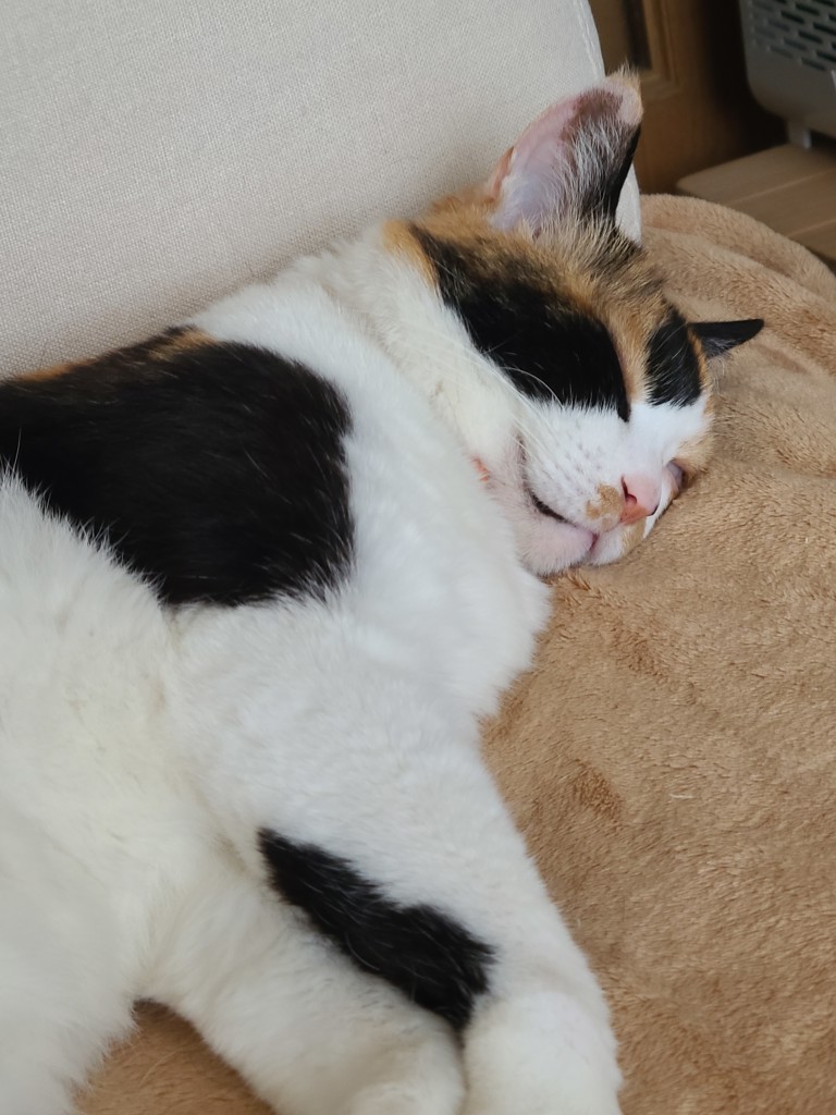 ユーザー写真
