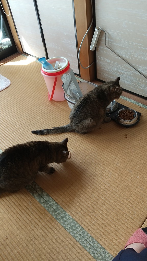 ユーザー写真