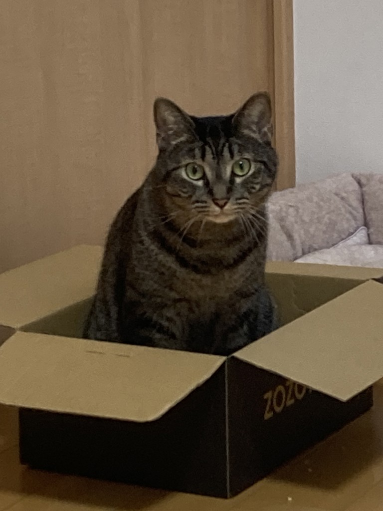 ユーザー写真