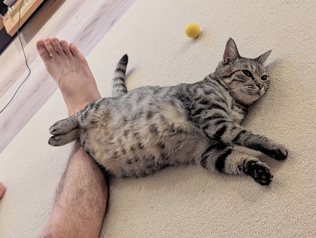 投稿写真