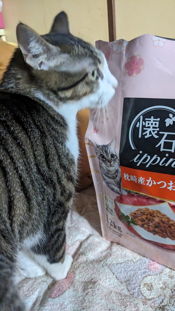 投稿写真