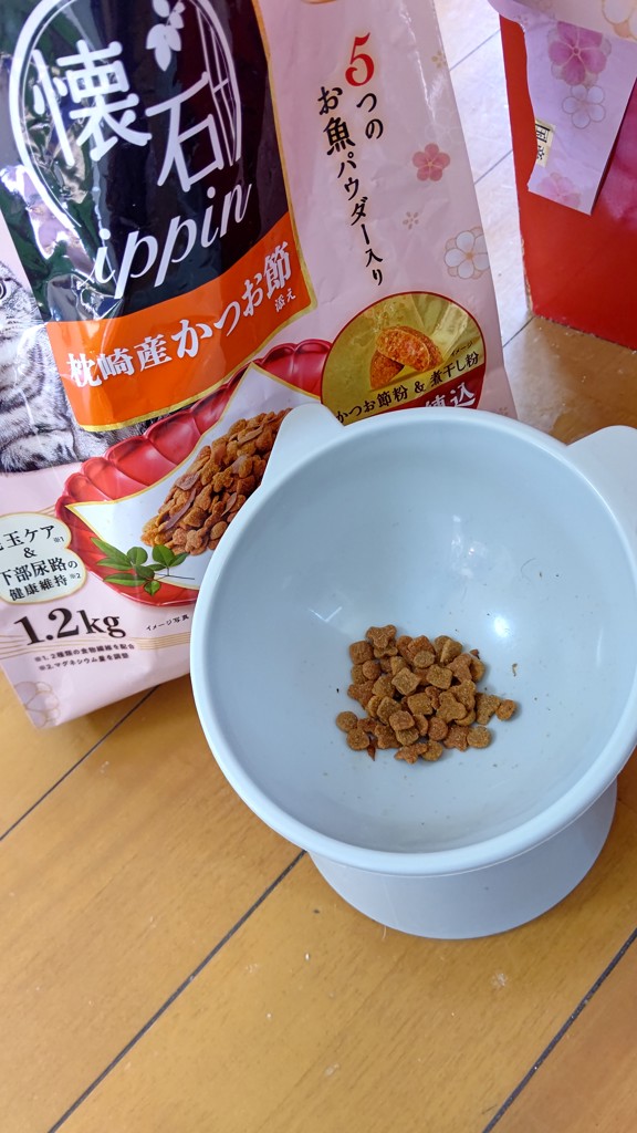 投稿写真