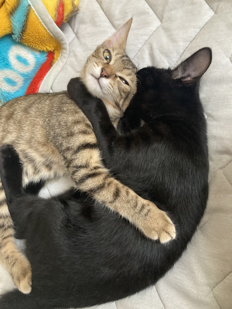 投稿写真