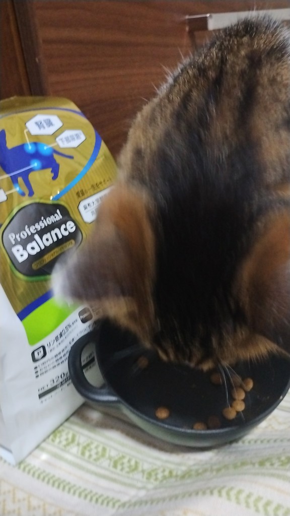 ユーザー写真