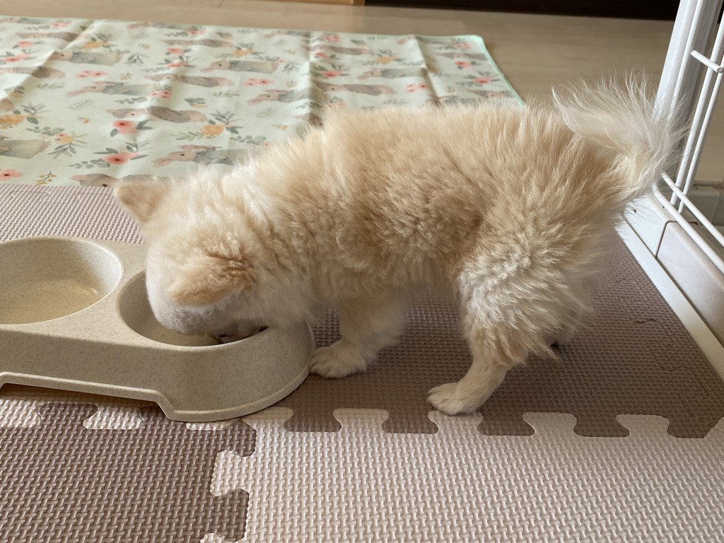 投稿写真