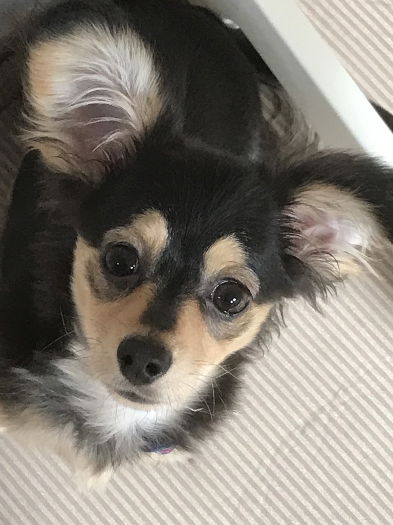 ユーザー写真