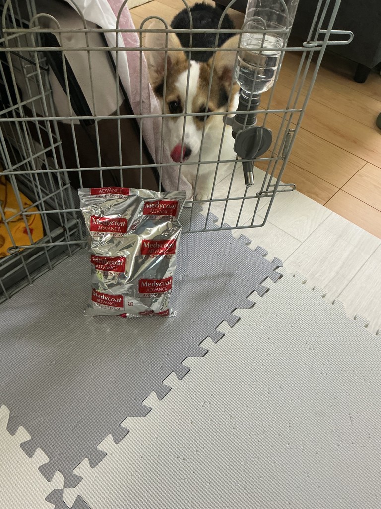 投稿写真