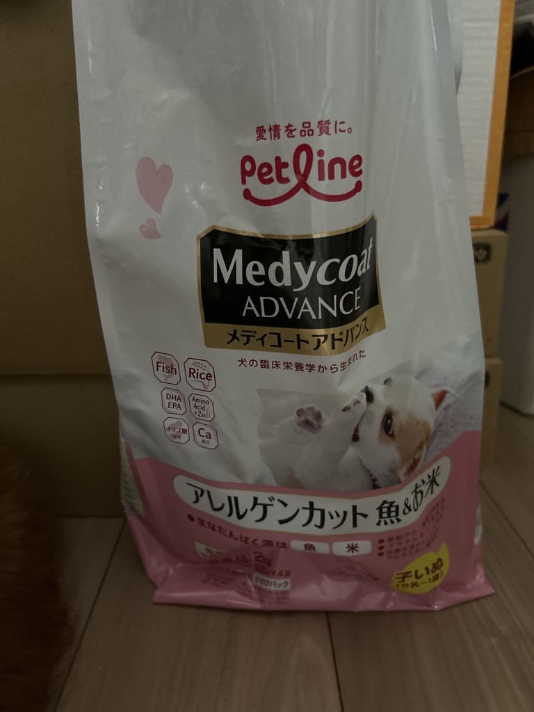 投稿写真