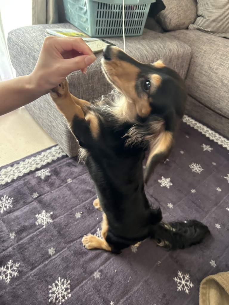 投稿写真
