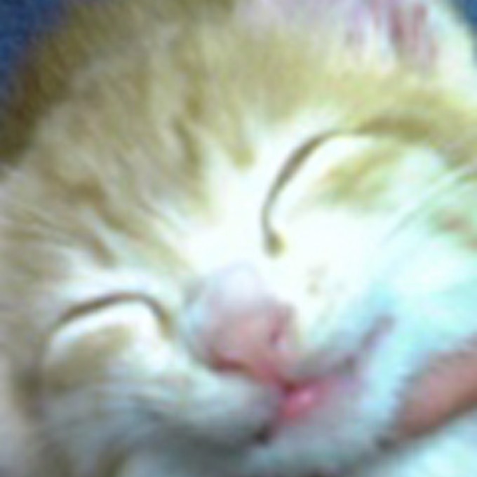 ユーザー写真