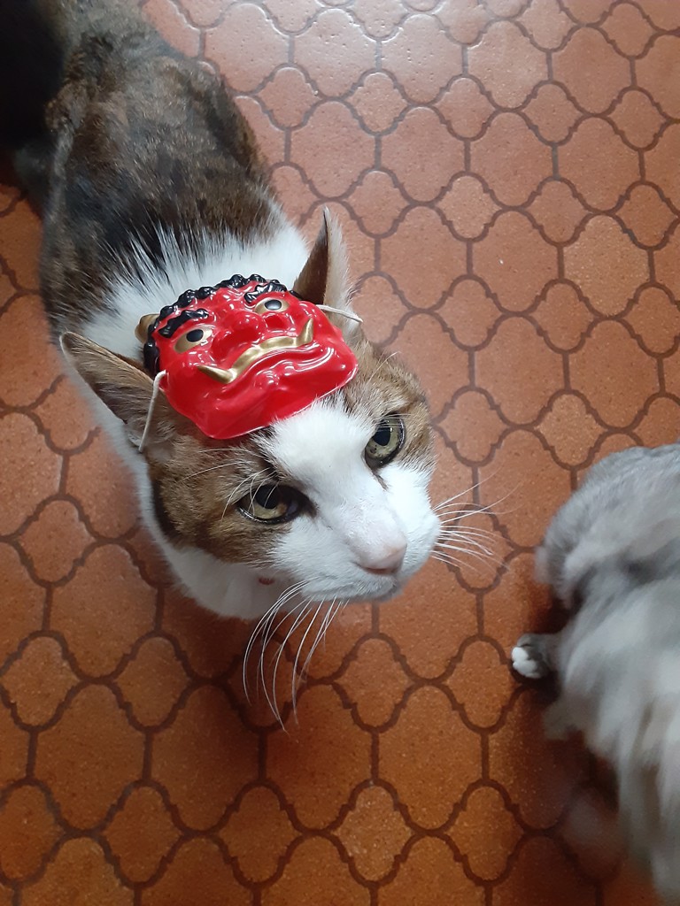 ユーザー写真