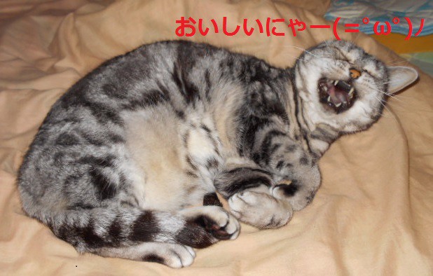 ユーザー写真