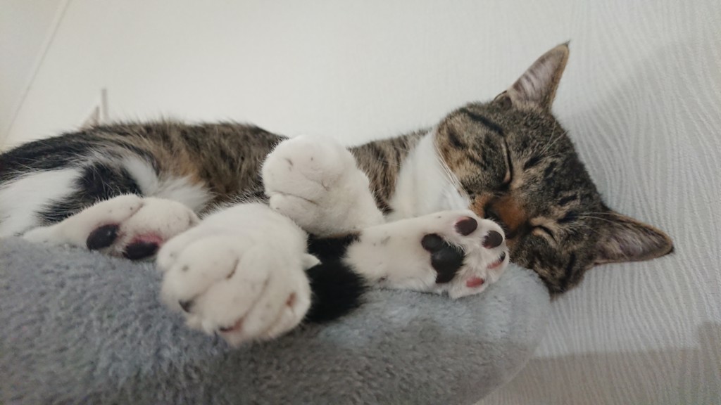 ユーザー写真