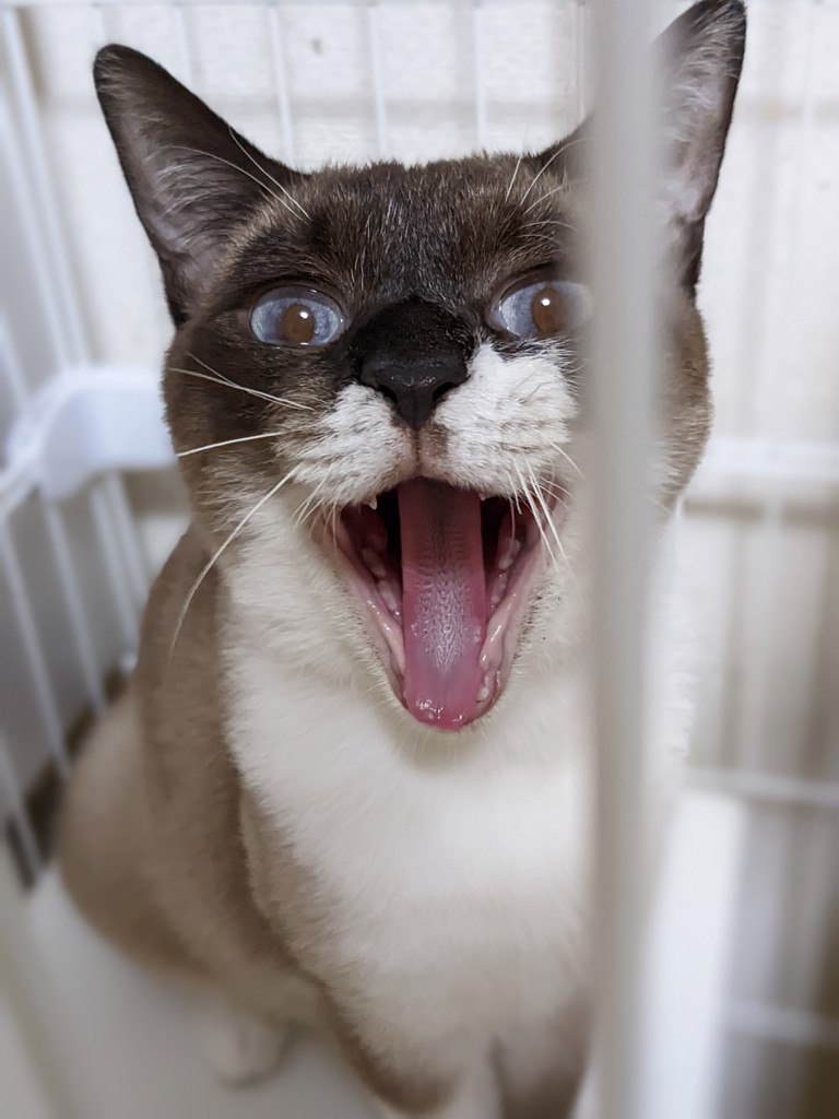 ユーザー写真