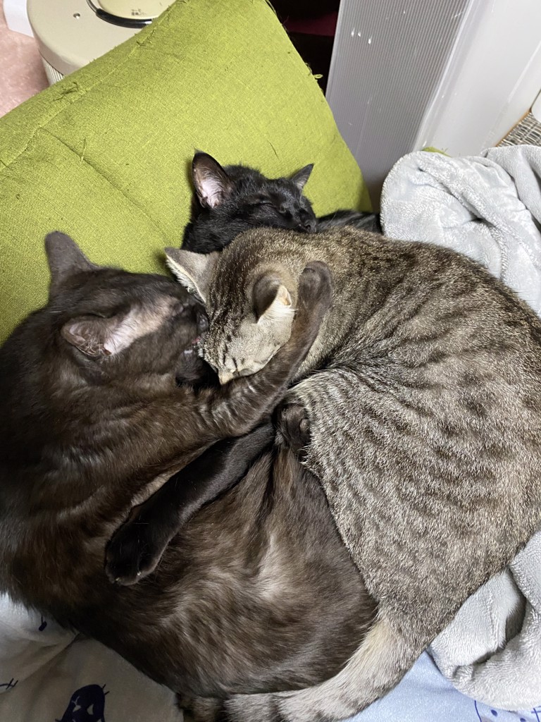 ユーザー写真