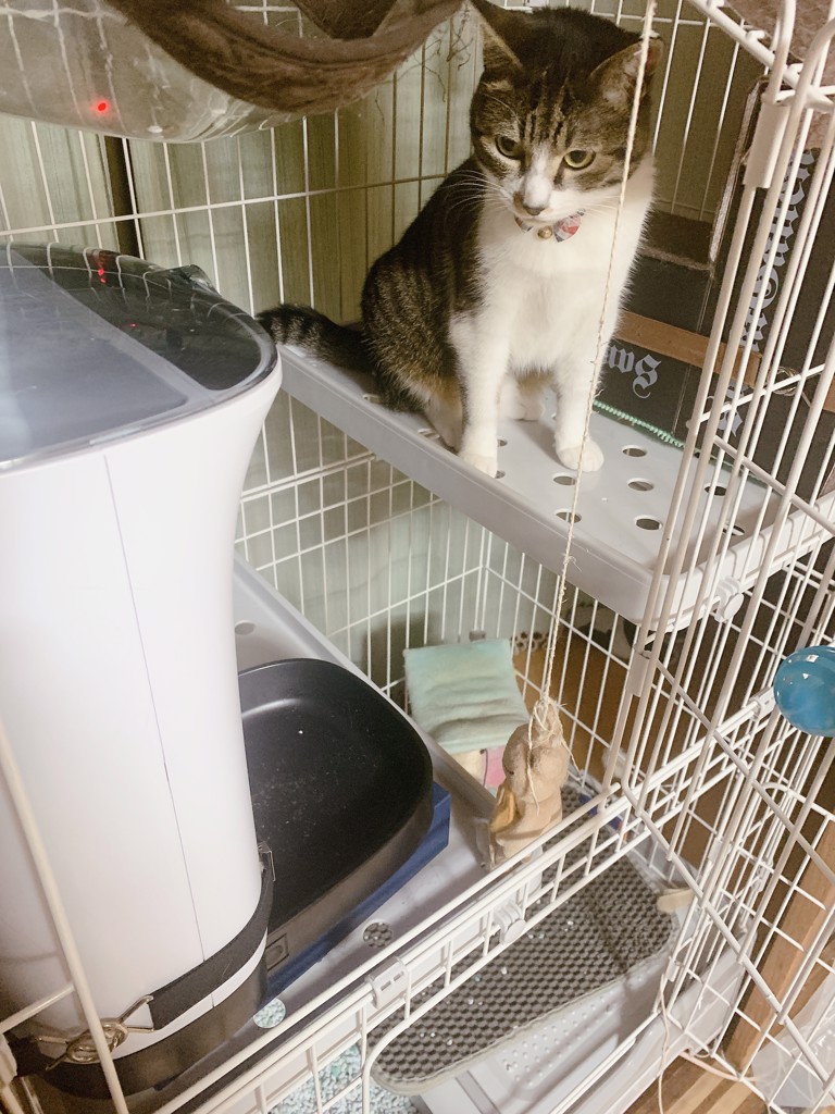 ユーザー写真