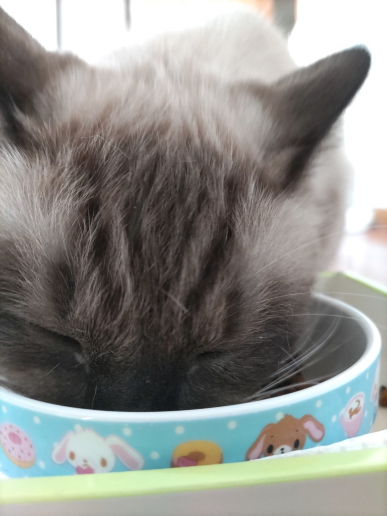 ユーザー写真