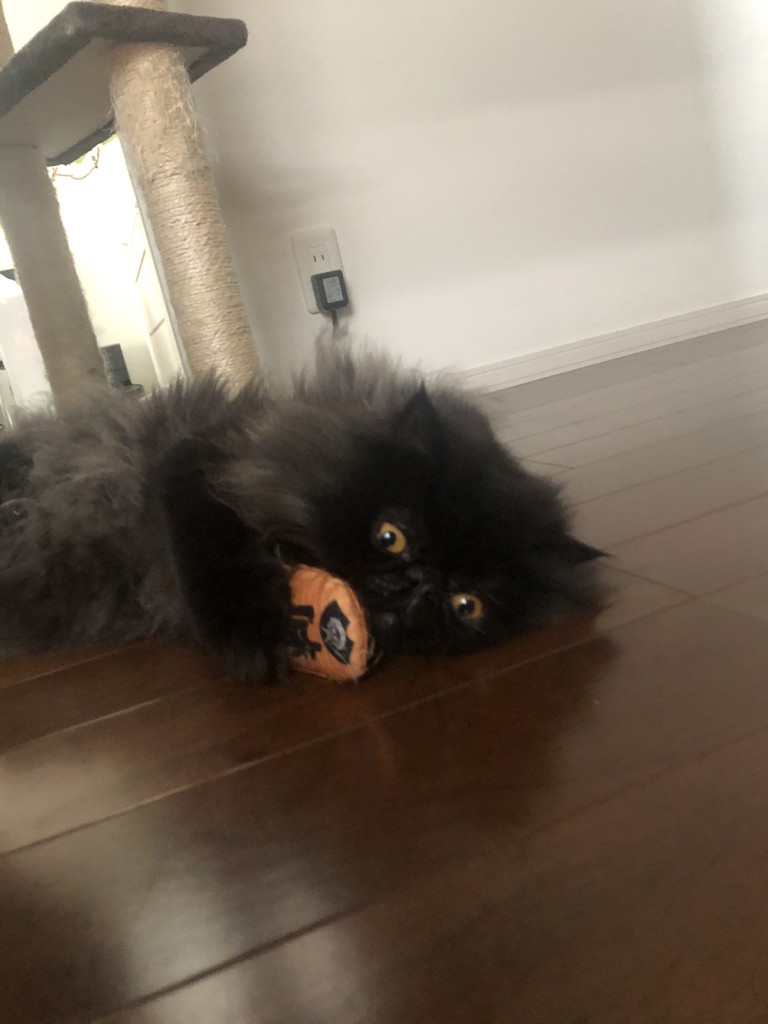 ユーザー写真