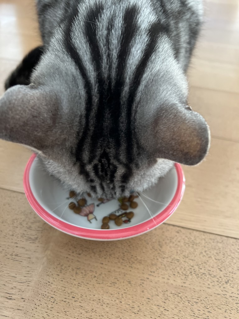 ユーザー写真