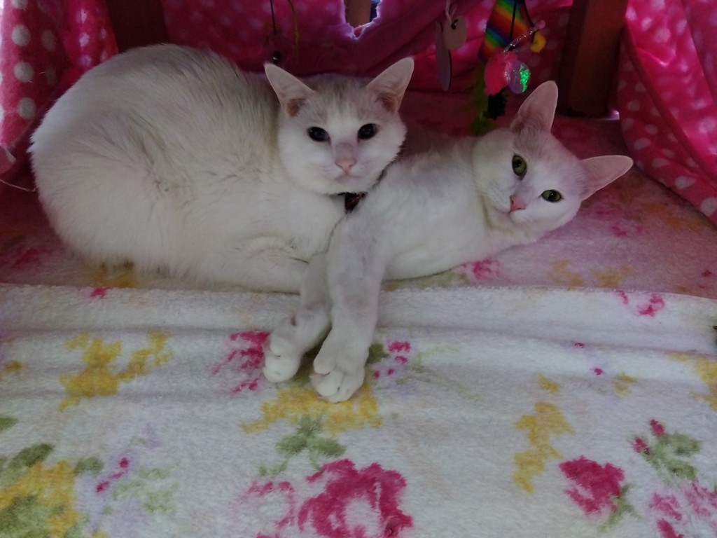 ユーザー写真