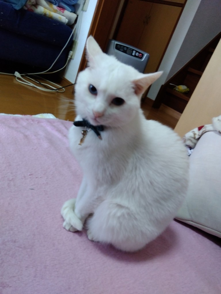 ユーザー写真