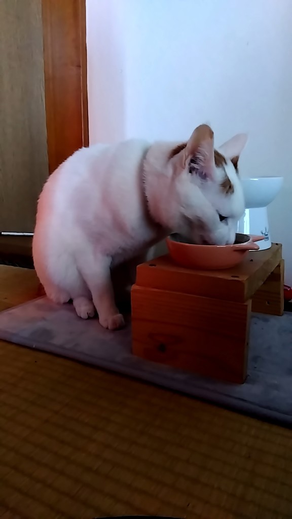ユーザー写真