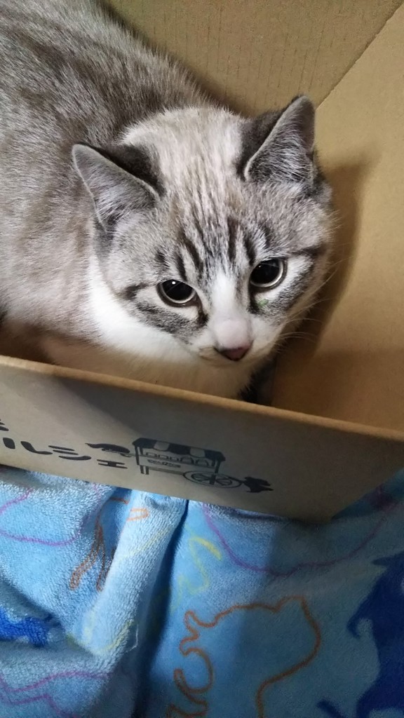 ユーザー写真