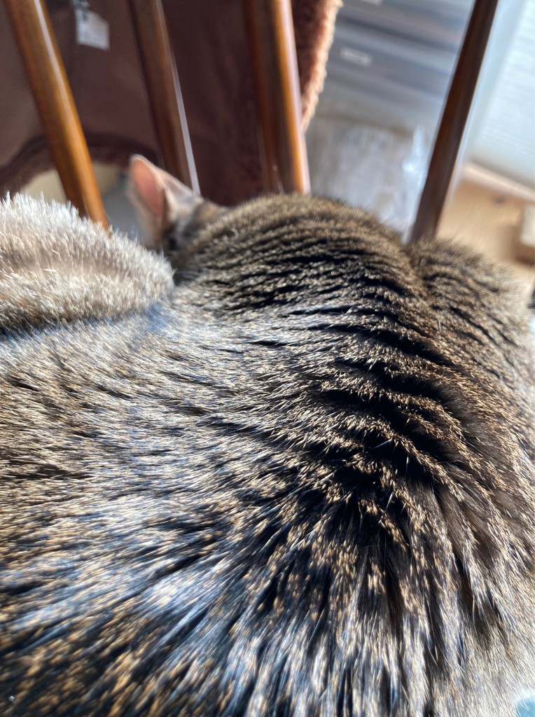 ユーザー写真