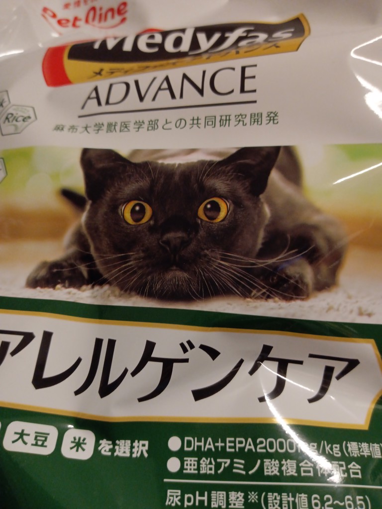 ユーザー写真