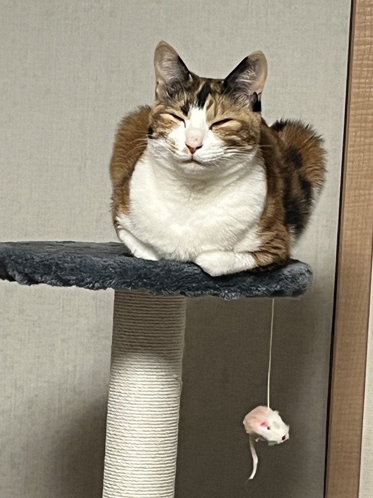 ユーザー写真